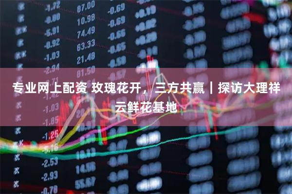 专业网上配资 玫瑰花开，三方共赢｜探访大理祥云鲜花基地